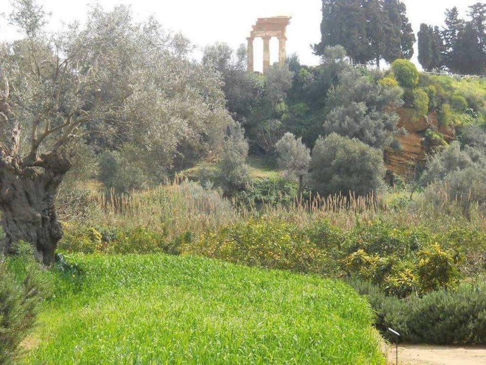 B&B San Leone Dış mekan fotoğraf